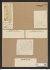 Isthmiella minima (B. et H.) De-Toni (de-Toni-Nr.: Genus 116, Species 3329) Zeichnungen Sammlung Grunow Nr. 6736 (NHMW-BOT-W0375551)